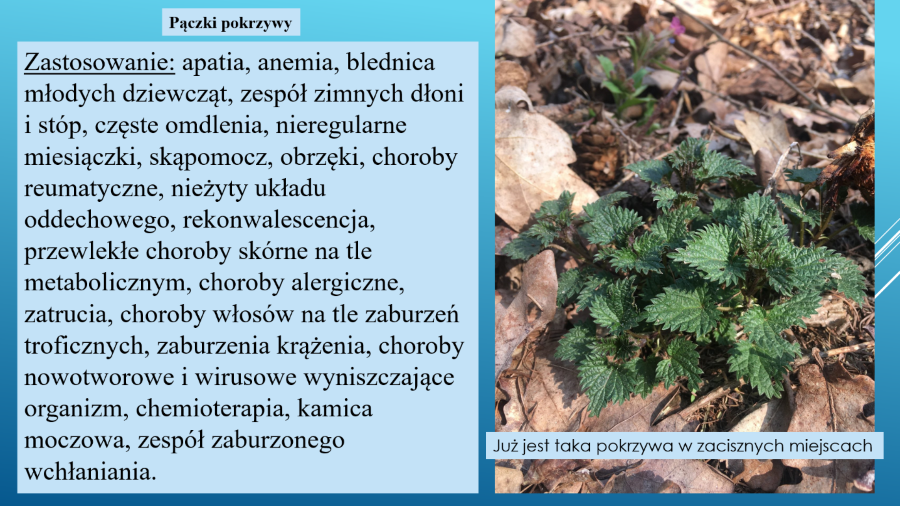 sezon3