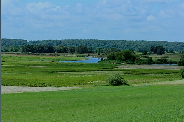 Fot. T. Grużewska Narew3