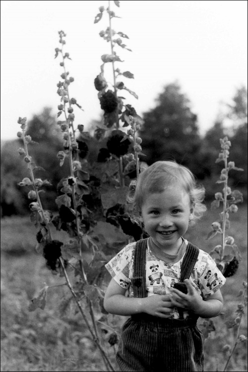 Kasia, córka Andrzeja Cwaliny, wśród wysianych przez ojca czarnych malw. Fot. Andrzej Cwalina, Drozdowo ok. 1987 r.   Kasia, córka Andrzeja Cwaliny, wśród wysianych przez ojca czarnych malw. Fot. Andrzej Cwalina, Drozdowo ok. 1987 r.