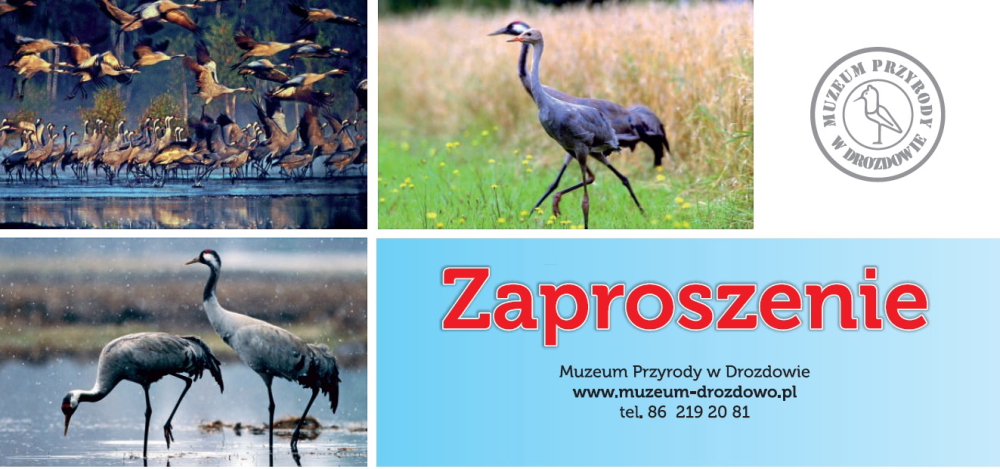 Zaproszenie na otwarcie wystawy "Żurawie nie znają granic" - grafika zaproszenie