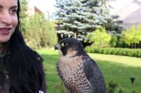 IMG_3469_ IMG_3469_